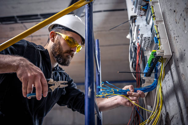 Best Electric Panel Repair  in Bonner Springs, KS